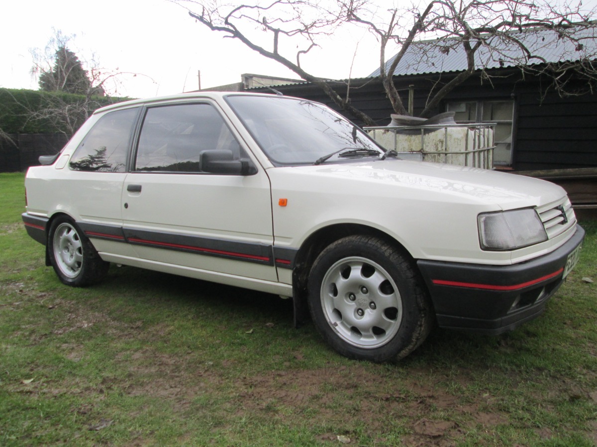 1989 Peugeot 309 Image 1